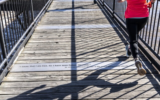 T. Tyler Potterfield Memorial Bridge